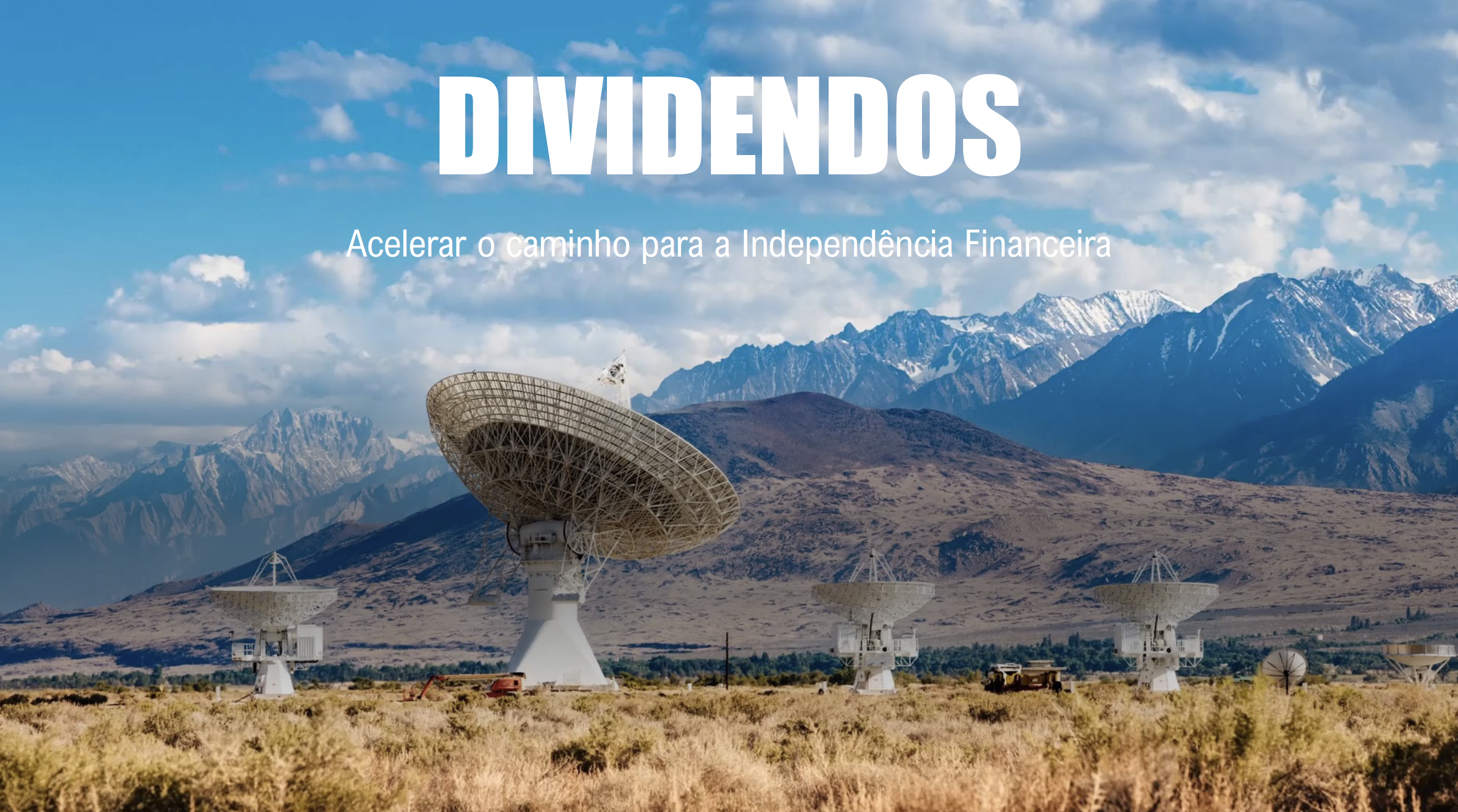 Dividendos: a Árvore das Patacas